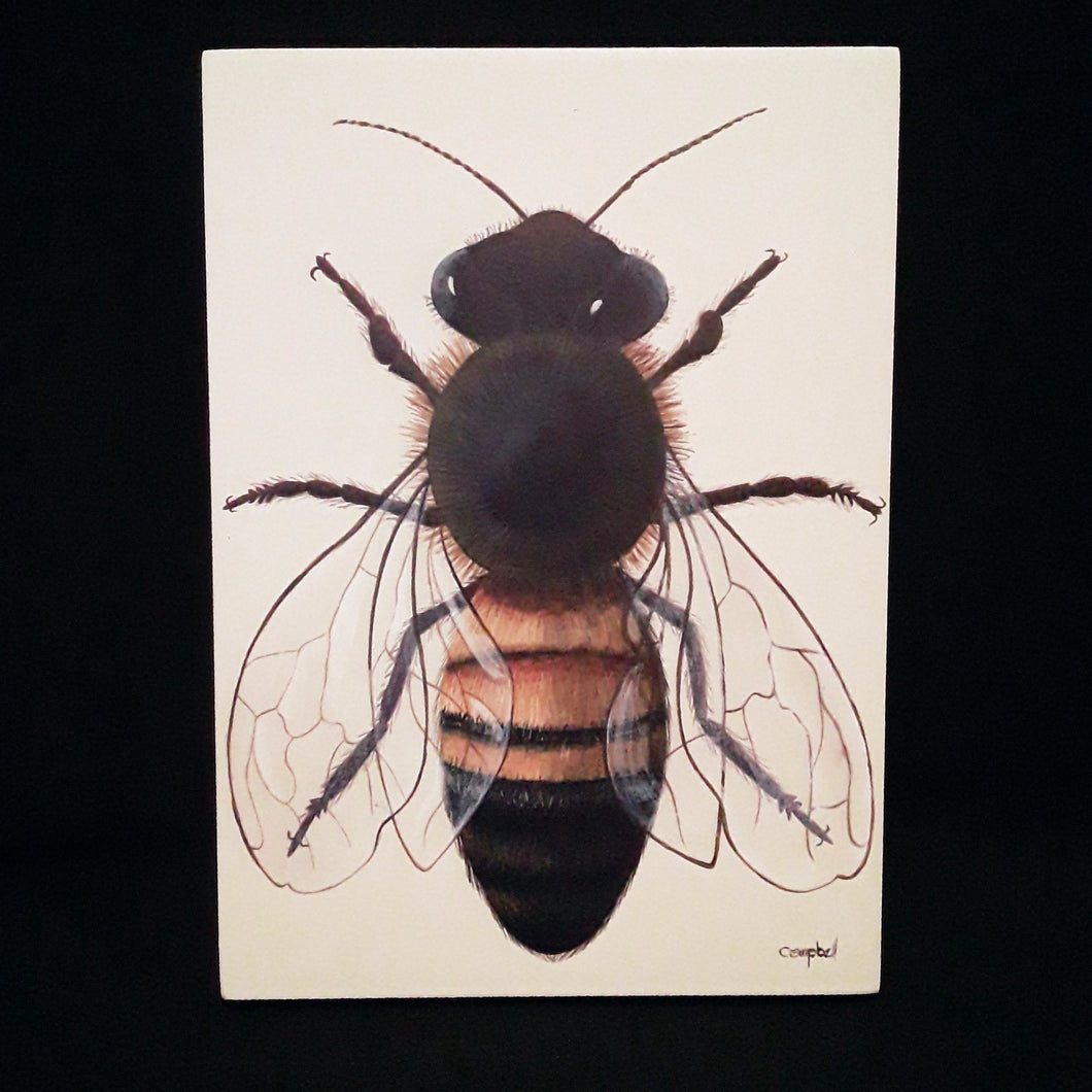 Honeybee 5x7 Box Print