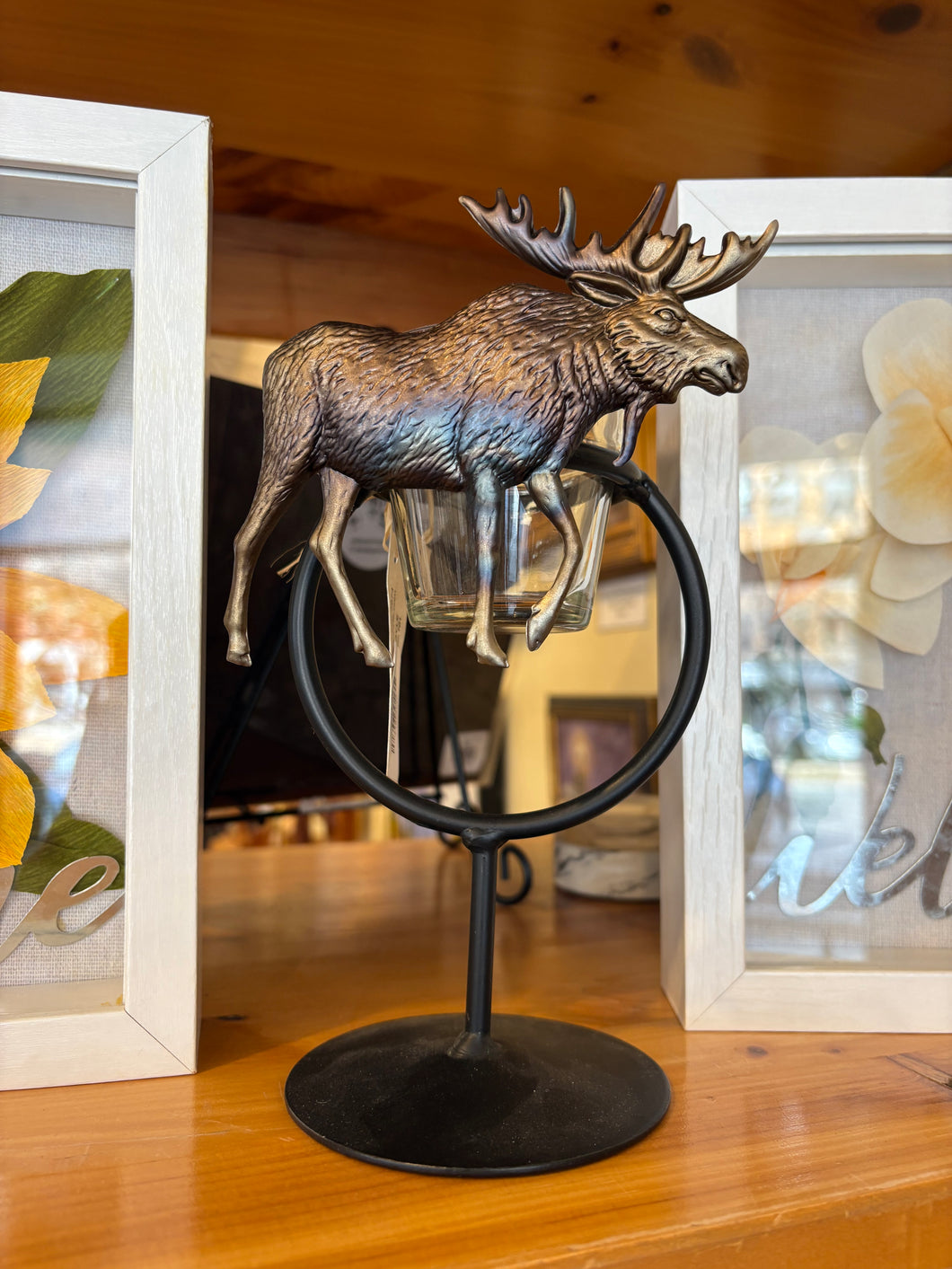 Moose 6