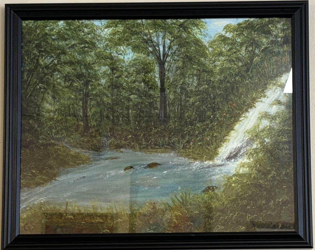 Giclee- Waterfall in Springtime 16x20
