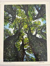 Load image into Gallery viewer, Print- 8x10
