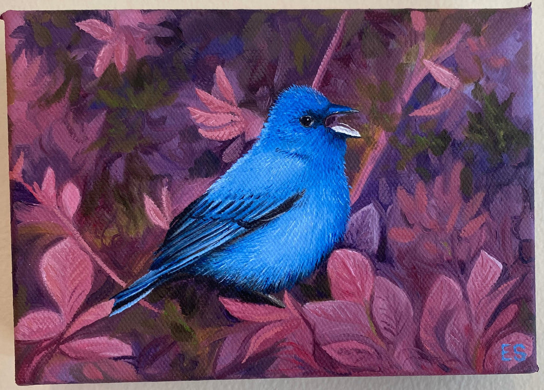 Painting - Indigo Bunting-ES-IB : 5x7