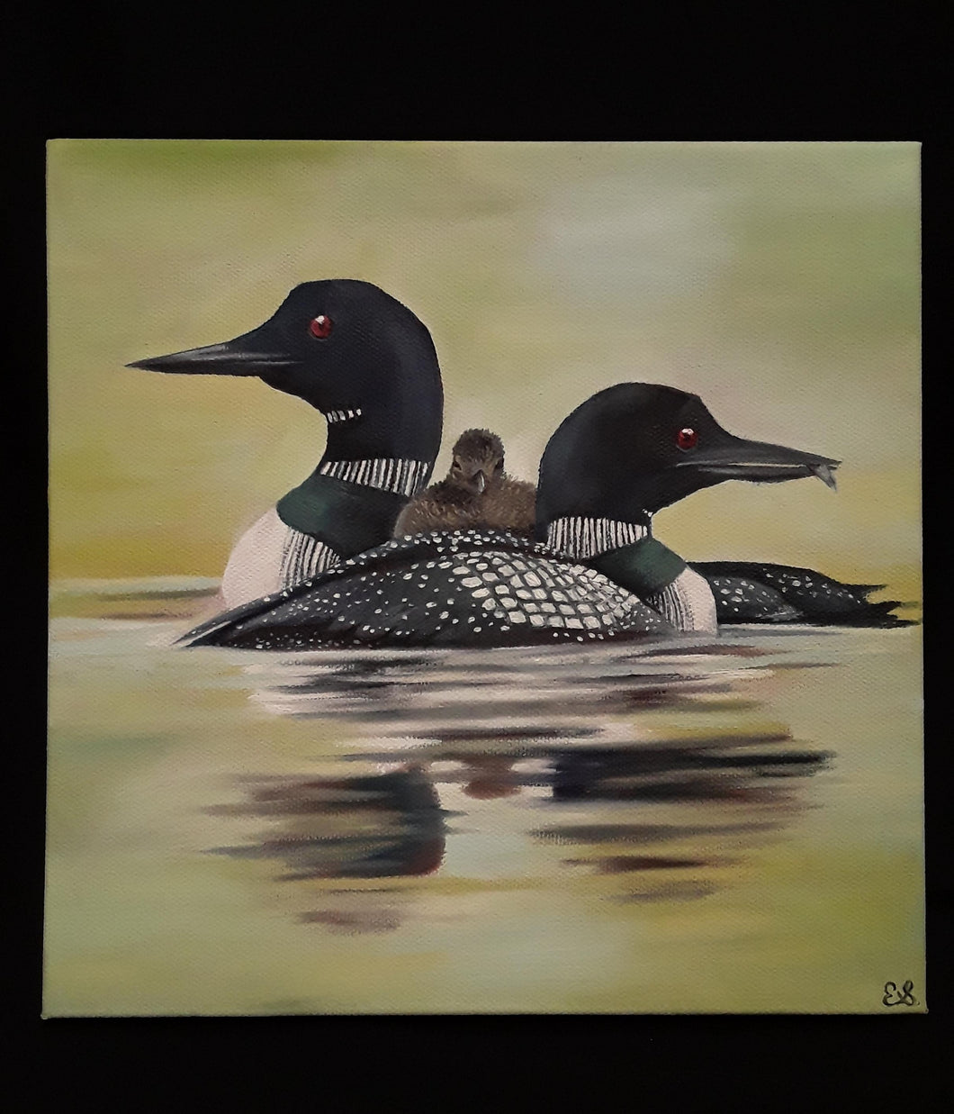 Original- Loon Family