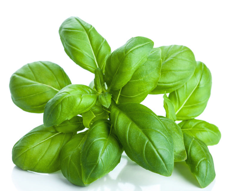 Basil Infused Olive Oil