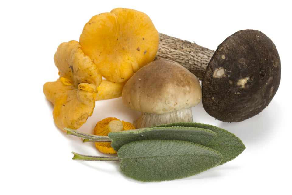 Wild Mushroom & Sage Infused Olive Oil
